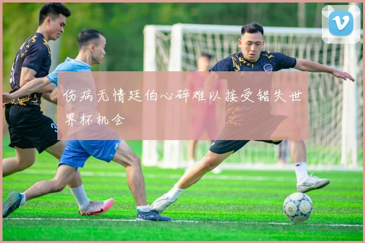 伤病无情廷伯心碎难以接受错失世界杯机会