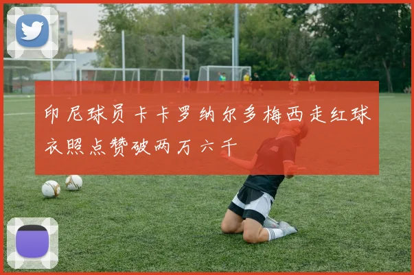 印尼球员卡卡罗纳尔多梅西走红球衣照点赞破两万六千